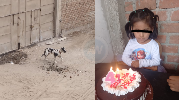 Niña es atacada por perros en Moche