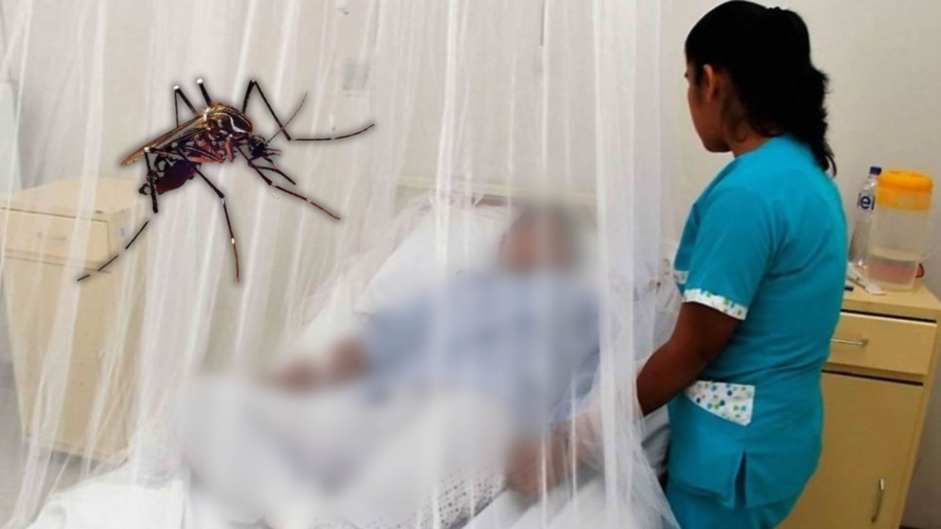 Niño de 8 años fallece tras picadura del dengue.