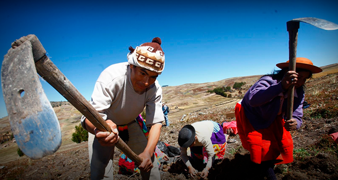 Perú: Feliz día del campesino