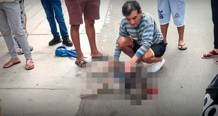 Delincuentes matan a balazos a perrito tras defender a su dueño de un robo