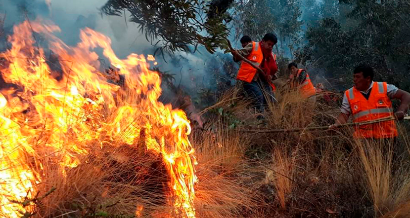 MINAN refuerza monitoreo ante riesgo de incendios forestales en diversas regiones del país