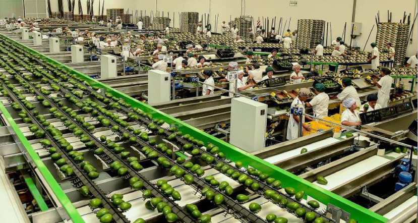 El crecimiento de las agroexportaciones experimentó una desaceleración en el 2023
