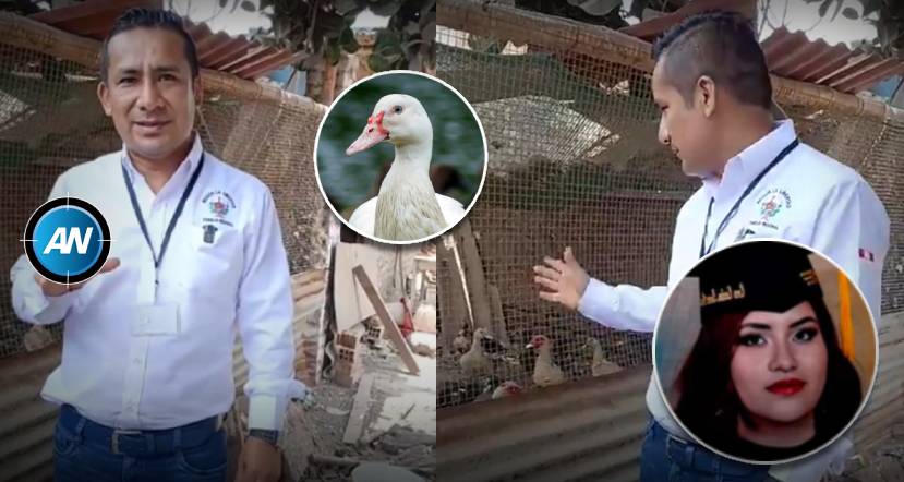 Hospital de Virú: oficinas del consorcio funcionan como corral de patos mientras obra avanza solo 2%