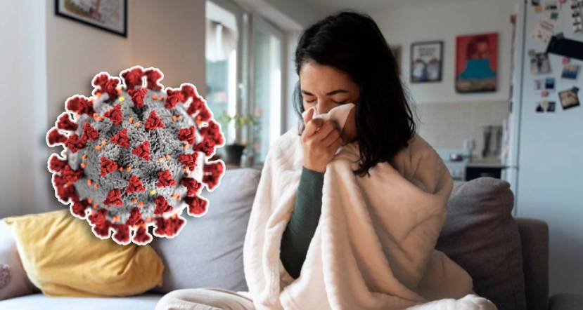 Aumentan contagios de la variante H3N2 K en Europa, Asia y EE.UU.